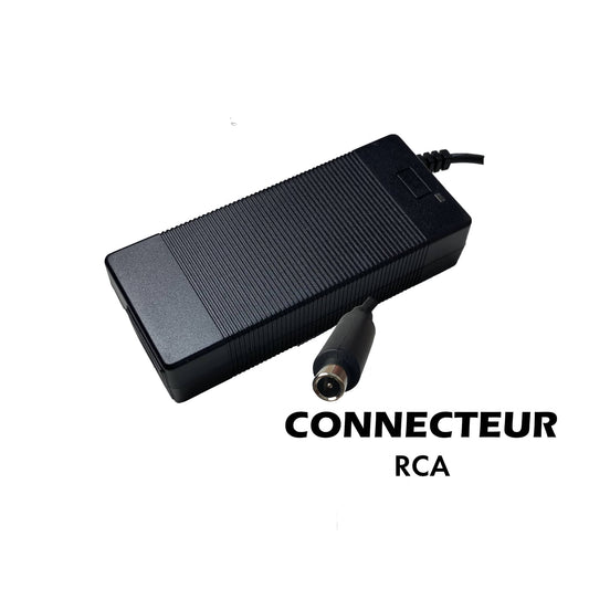 Chargeur 42V 2A Pour Batterie 36V (Connecteur RCA)