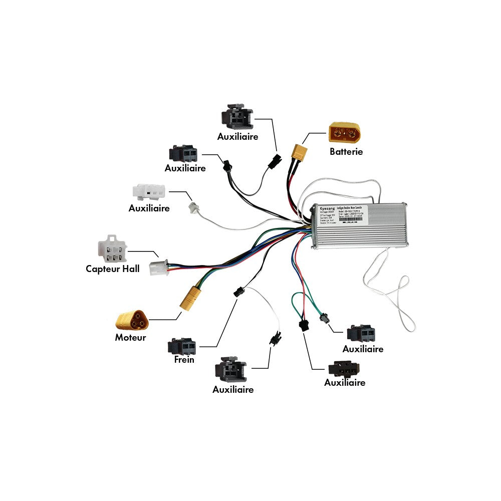 Contrôleur Avant 60V Pour Z10X
