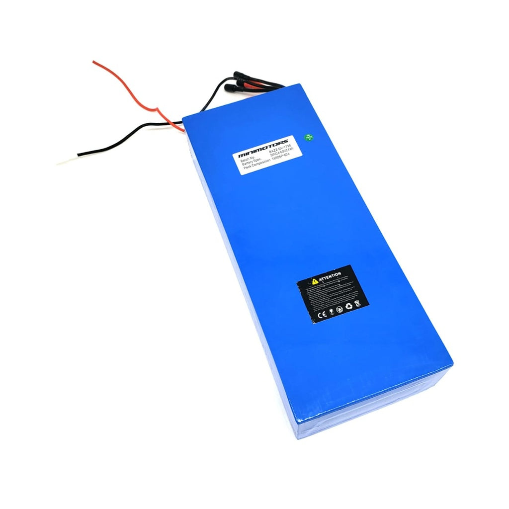 Batterie 60V 24Ah Reconditionnée DUALTRON VICTOR