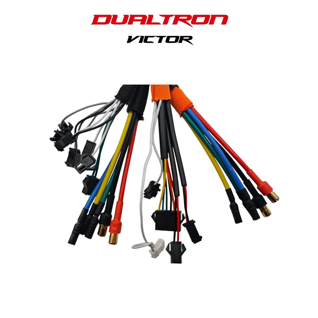 Controleur 60V LDVH DUALTRON VICTOR & LUXURY & LUXURY PLUS V1/V2 & LIMITED