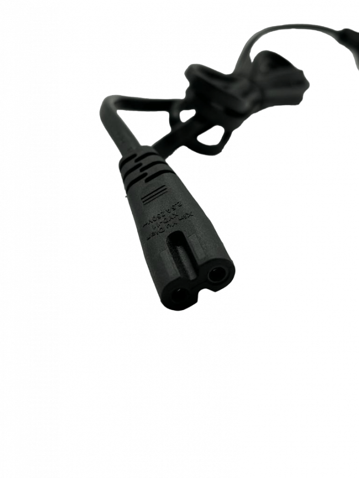 Chargeur 48V DUALTRON TOGO