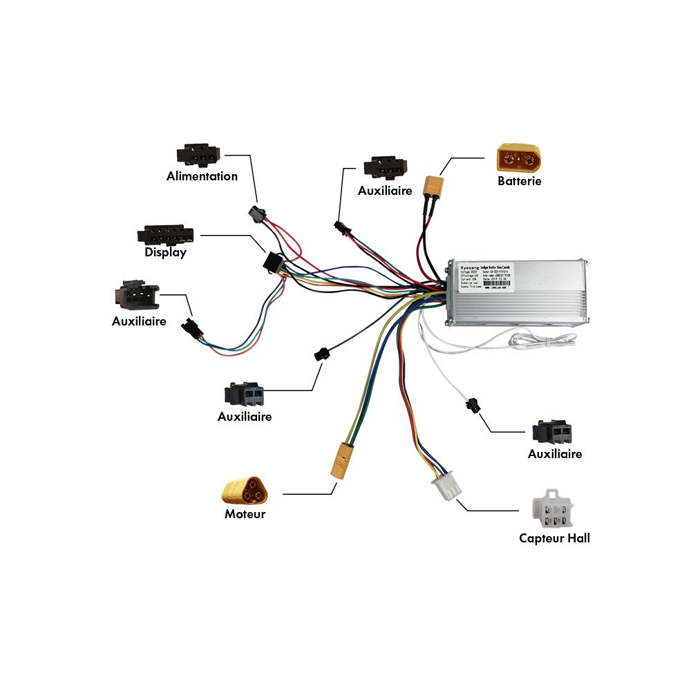 Contrôleur Arrière 52V pour Z10X