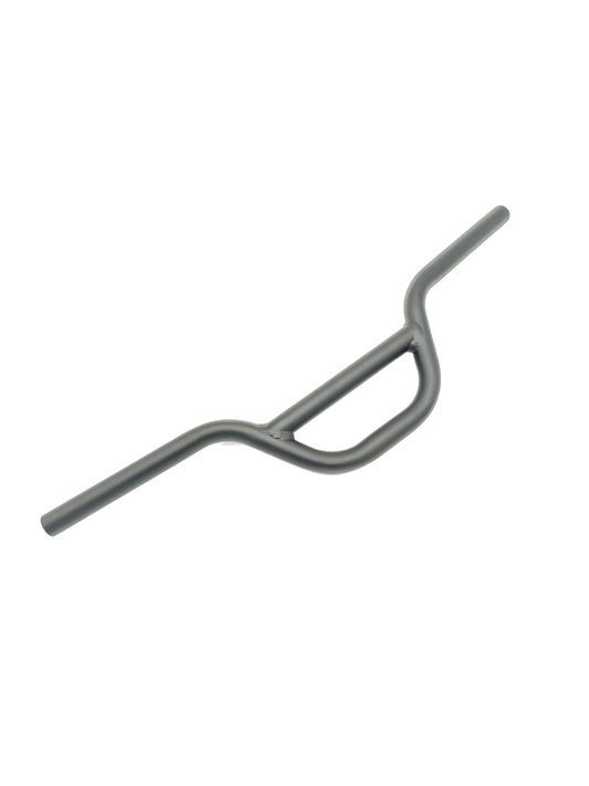 Guidon V1 DUALTRON MINI