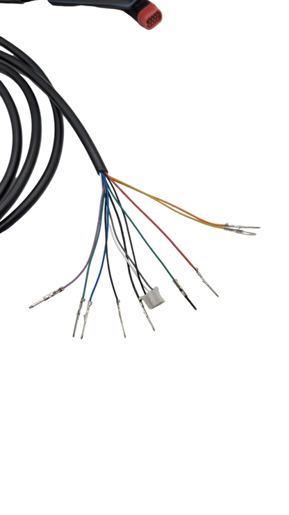 Display EY4 2023 Connecteur ROUGE DUALTRON THUNDER 3