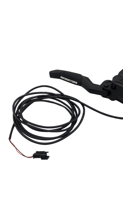 Levier de Frein Hydraulique ARRIERE DROIT DUALTRON VICTOR 2024