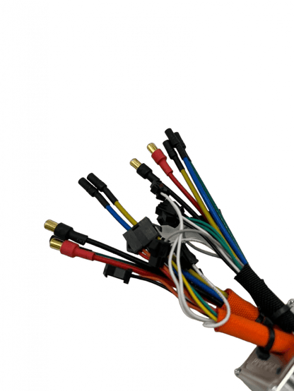 Controleur DUALTRON VICTOR LUXURY
