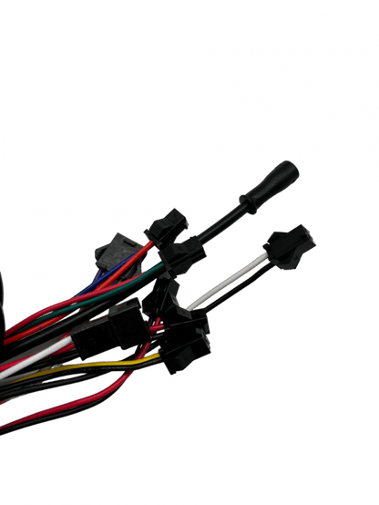 Controleur LED DUALTRON TOGO