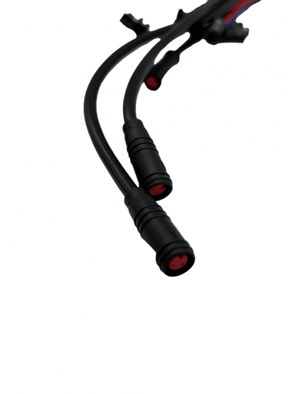 Controleur LED DUALTRON TOGO