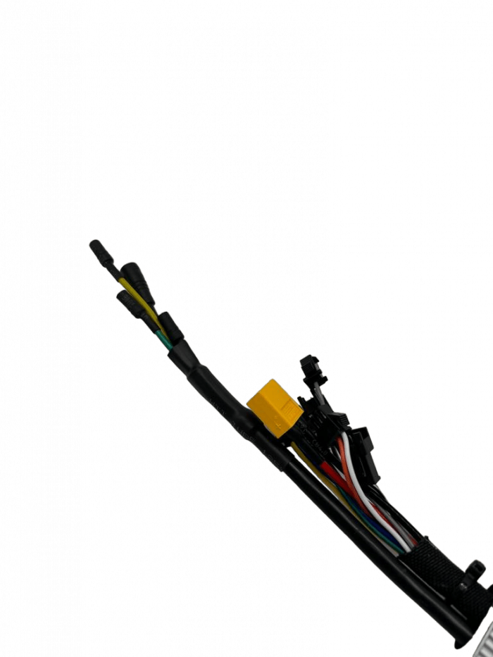 Controleur 36V 25A DUALTRON TOGO